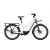 Riese & Müller Multicharger Mixte GT vario 750 DaL 47 white 22J