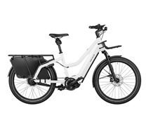 Riese & Müller Multicharger Mixte GT vario 750Wh 23J